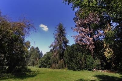 Sárvári arborétum-stock-foto