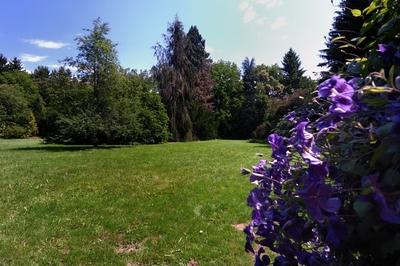 Sárvári arborétum-stock-foto