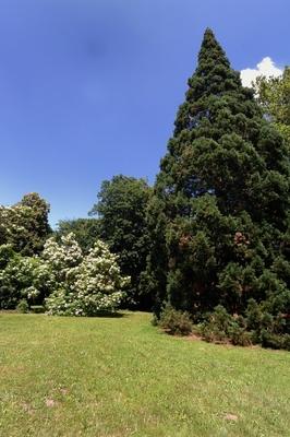 Sárvári arborétum-stock-foto