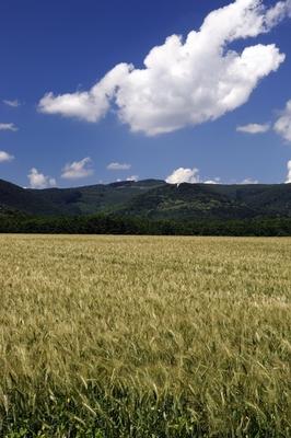 Velem látképe-stock-foto