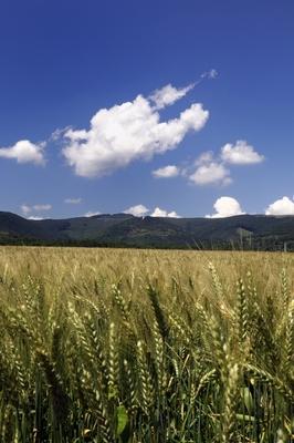 Velem látképe-stock-foto