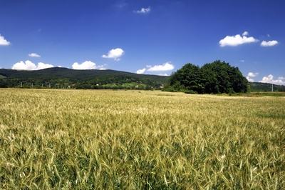 Velem látképe-stock-foto