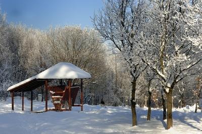 Somoskői Vadaspark-stock-foto
