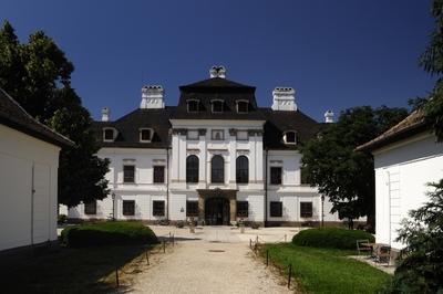 Zsira, Rimanóczy-kastély-stock-foto