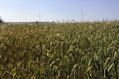 Szélerőmű Nagylózs határában-stock-foto
