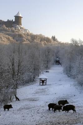 Somoskői Vadaspark-stock-foto