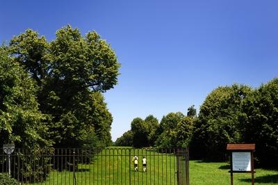 Nagycenk, Széchenyi-kastély parkja-stock-foto