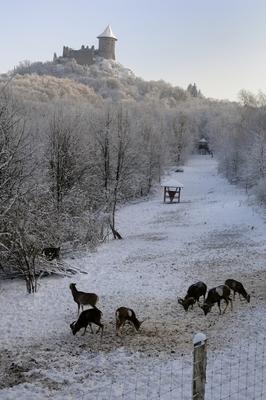 Somoskői Vadaspark-stock-foto