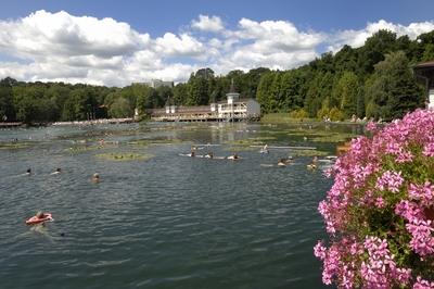 Hévízi Tófürdő-stock-foto