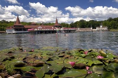 Hévízi Tófürdő-stock-foto
