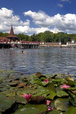 Hévízi Tófürdő-stock-foto