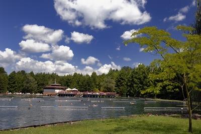 Hévízi Tófürdő-stock-foto