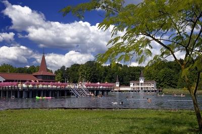 Hévízi Tófürdő-stock-foto