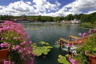 Hévízi Tófürdő-stock-foto