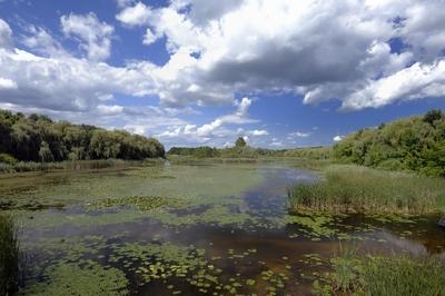 A Kis-Balaton látképe Zalaváron-stock-foto