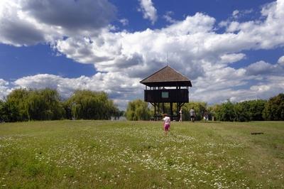 Kis-Balaton, kilátó a Kányavári-szigeten-stock-foto