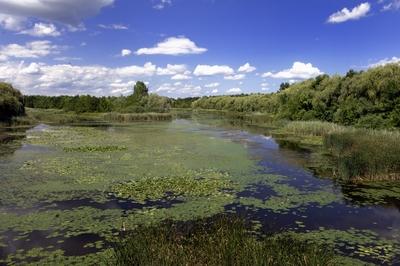 A Kis-Balaton látképe Zalaváron-stock-foto