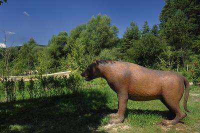 Tanösvény Ipolytarnócon-stock-foto