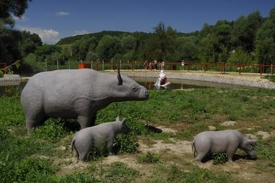 Tanösvény Ipolytarnócon-stock-foto