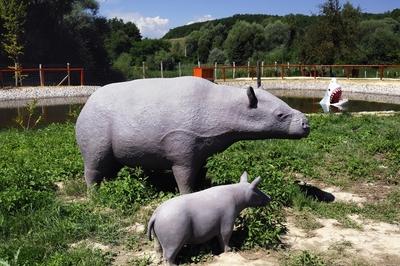 Tanösvény Ipolytarnócon-stock-foto