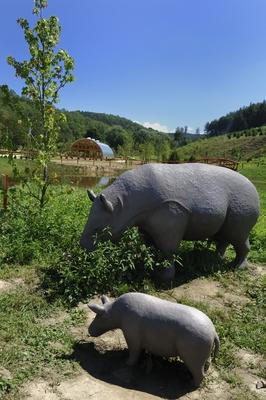 Tanösvény Ipolytarnócon-stock-foto