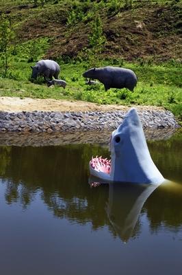 Tanösvény Ipolytarnócon-stock-foto