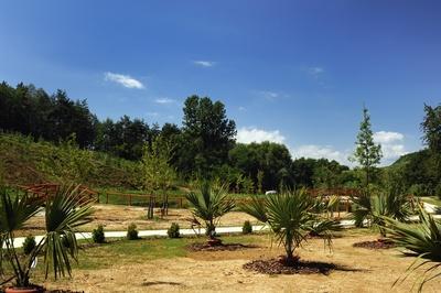 Tanösvény Ipolytarnócon-stock-foto