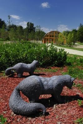 Tanösvény Ipolytarnócon-stock-foto