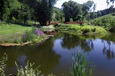 Tanösvény Ipolytarnócon-stock-foto