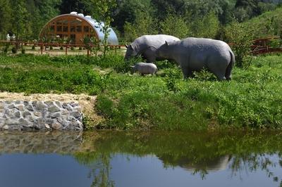 Tanösvény Ipolytarnócon-stock-foto