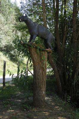 Tanösvény Ipolytarnócon-stock-foto