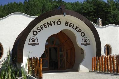 Ősfenyő Belépő fogadóépület Ipolytarnócon-stock-foto