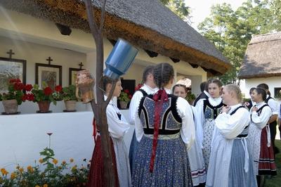 Buzsák, Tájház-stock-foto