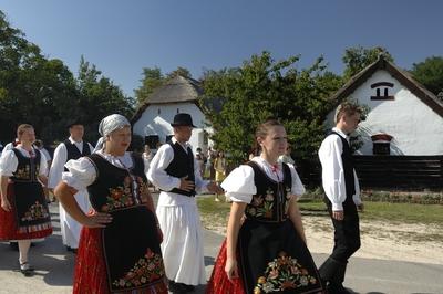 Buzsák, Tájház-stock-foto
