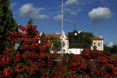 Tata, Harangláb az Országgyűlés téren-stock-foto