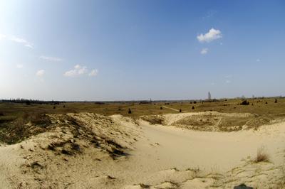 Homokbuckák Fülöpháza határában-stock-foto