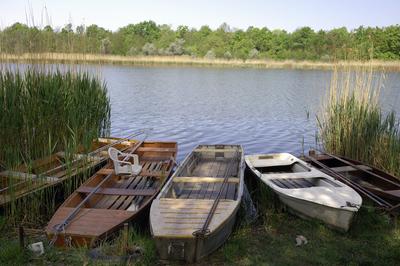 Dunapataj, Szelidi-tó-stock-photo