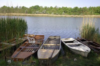 Dunapataj, Szelidi-tó-stock-foto