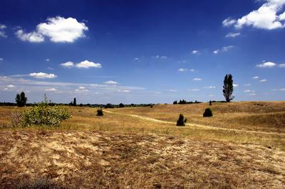 Homokbuckák Fülöpháza határában-stock-foto