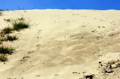 Homokbuckák Fülöpháza határában-stock-foto