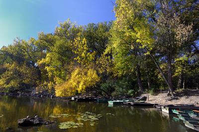 Lakitelek - Tősfürdő, Holt-Tisza-stock-foto