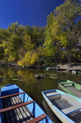 Lakitelek - Tősfürdő, Holt-Tisza-stock-foto