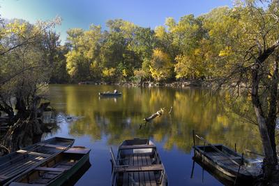 Lakitelek - Tősfürdő, Holt-Tisza-stock-foto