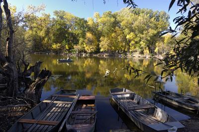 Lakitelek - Tősfürdő, Holt-Tisza-stock-foto