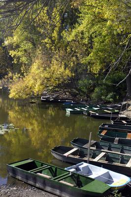 Lakitelek - Tősfürdő, Holt-Tisza-stock-foto
