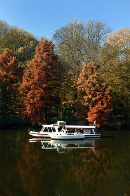 Szarvas, a Holt-Körös és partja-stock-foto