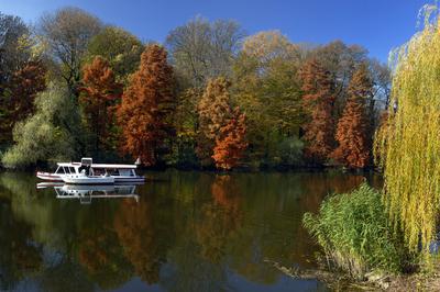 Szarvas, a Holt-Körös és partja-stock-foto