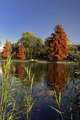 Szarvas, a Holt-Körös és partja-stock-foto