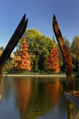 Szarvas, a Holt-Körös és partja-stock-foto