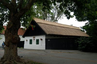 Kiskőrös, Petőfi Sándor Szülőház és Emlékmúzeum-stock-foto